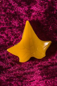 CRW_7529
